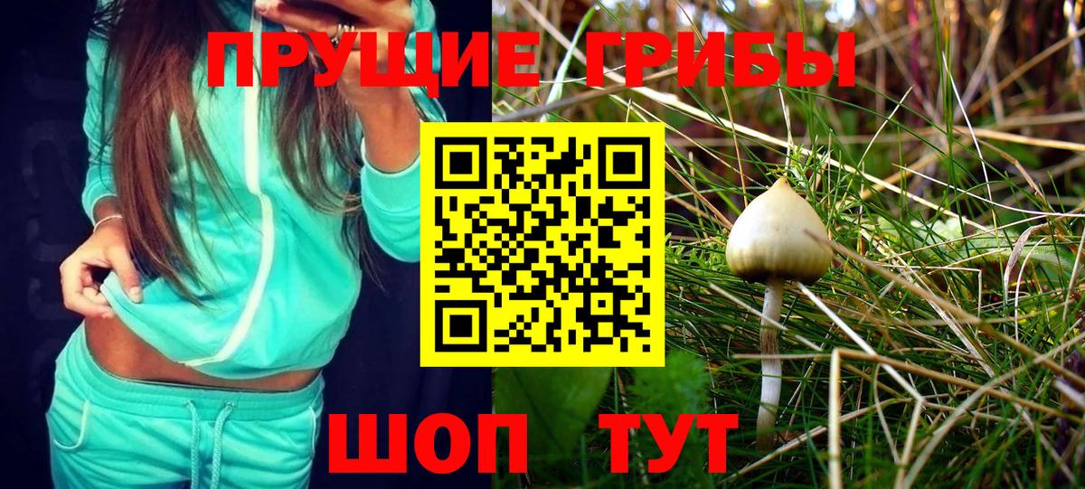 Псилоцибиновые грибы Magic Shrooms  Вход с VPN  Дубна 