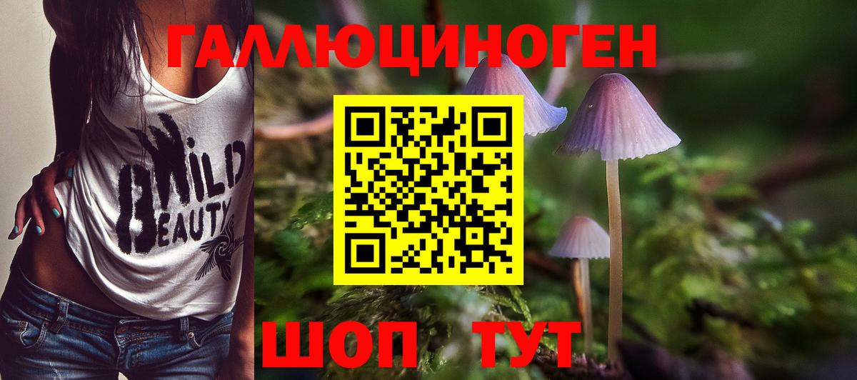 Псилоцибиновые грибы MAGIC MUSHROOMS Дубна